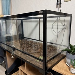 ※お取引中　パンテオン カノン BK9045