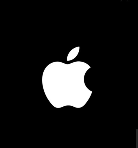 個人、折りたたみ自転車「active style. appleステッカー取説付き