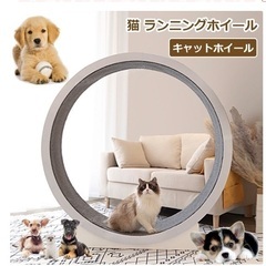 みー様① CARIBOU MOUNTAINEERING別注バックパック CARIBOU