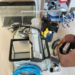 水槽 アクアリウム おまけ多数 引退します！