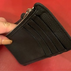 #LOEWE#ロエベ#カードケース#コインケース