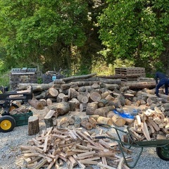 薪　（樫・クヌギ）　1立米