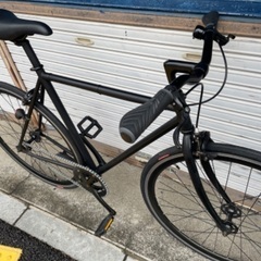 🔸ピストバイク🔸 ホリゾンタルフレーム