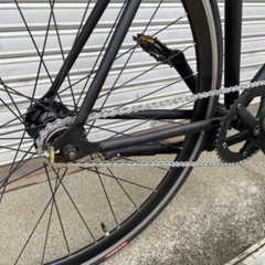 🔸ピストバイク🔸 ホリゾンタルフレーム