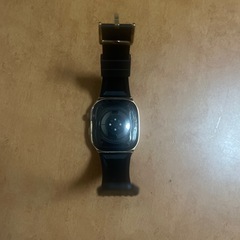 青康熙 青花釉里紅胆瓶 双龍手絵 希少品-Apple Watch