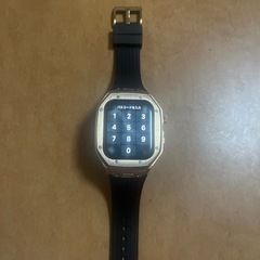 青康熙 青花釉里紅胆瓶 双龍手絵 希少品-Apple Watch