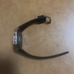 青康熙 青花釉里紅胆瓶 双龍手絵 希少品-Apple Watch