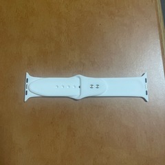 青康熙 青花釉里紅胆瓶 双龍手絵 希少品-Apple Watch