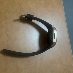 青康熙 青花釉里紅胆瓶 双龍手絵 希少品-Apple Watch