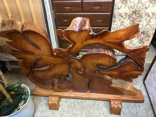 下田光 Flower Child Hikari Shimoda ミッキーマウス 下田光 Hikari