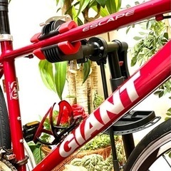 [特価販売②GIANT] ESCAPE R3. クロスバイク.アルミボディ.F3xR8 24段変速