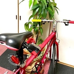 [特価販売②GIANT] ESCAPE R3. クロスバイク.アルミボディ.F3xR8 24段変速