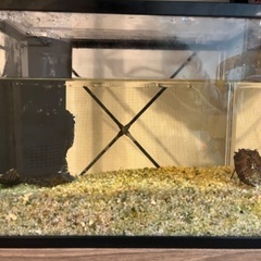 京都府の砂利の中古が安い！激安で譲ります・無料であげます  