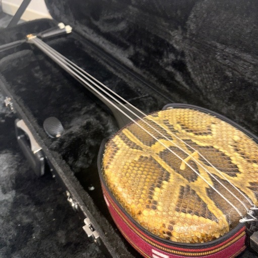 三味線 ヘビ柄 木*下様 沖縄三味線 三味線本体 ヘビ柄 ケース付き 木