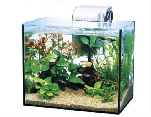 最終値下げ　引取限定　テトラ　オールグラスアクアリウム600 2個セット テトラ オールグラスアクアリウム600 熱帯魚セット｜観賞魚・水生生物
