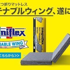 【決定】magniflex　サステナブルウイング（S）