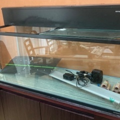 120センチ水槽 上部フィルター LED セット