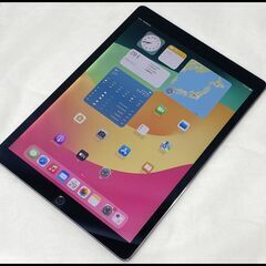デモ機 iPad Pro 12.9インチ 第2世代 64GB Wi-Fi+Cellular スペースグレイ