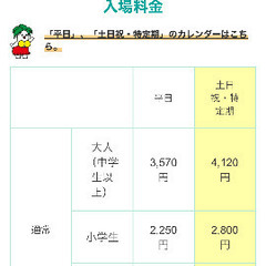 スパリゾートハワイアンズのチケット