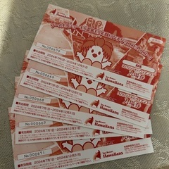 スパリゾートハワイアンズのチケット