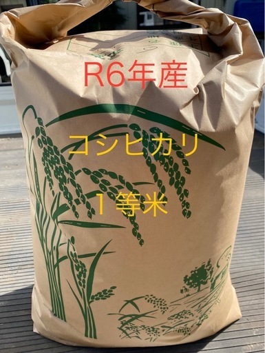 栃木米、コシヒカリ（R6年産）玄米30kg、農家直送の自家米