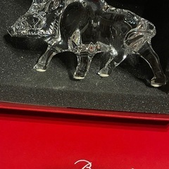 バカラ　　イノシシクリスタル！