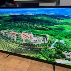 ① 東芝 TOSHIBA レグザ 4K 49インチ 49型 49C310X 2018年製 検 50インチ 50型