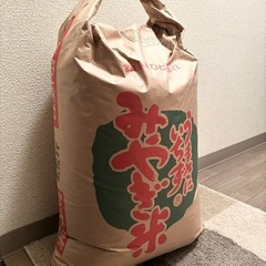 新米?令和6年ひとめぼれ30キロ 