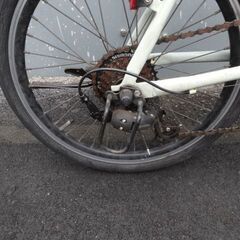  ANIMATO（アニマート） SURFARAMA（サーファラマ）ミニベロ　クロスバイク　管理NO.20241031-8