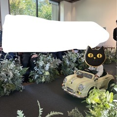 ランジコンカー リングボーイ