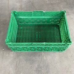 折りたたみ式コンテナボックス11個セット売り