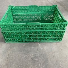 折りたたみ式コンテナボックス11個セット売り