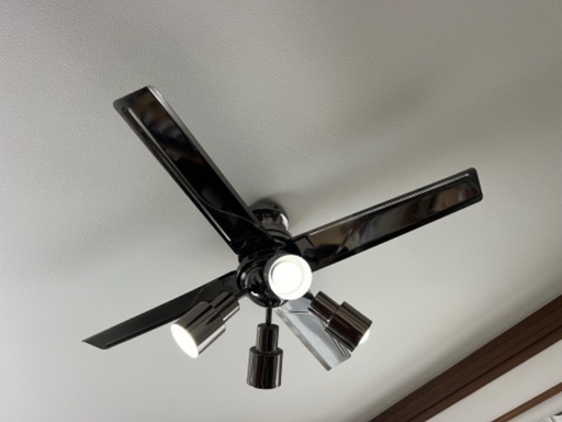 ☆LOWYA☆ロウヤ☆シーリングファンライト☆ヒロトス メタリック 天井