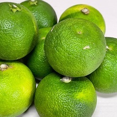 オーガニックすだち5kg（値下げOK）