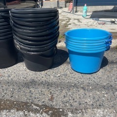 メダカ容器　メダカ　まとめて