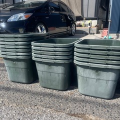 メダカ容器　メダカ　まとめて