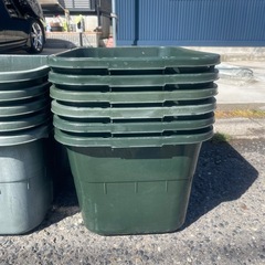 メダカ容器　メダカ　まとめて