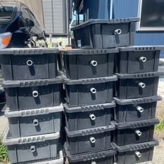 メダカ容器　メダカ　まとめて