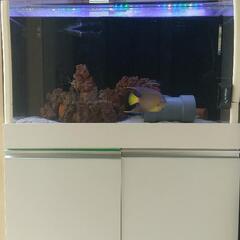 兵庫県のオーバーフロー水槽の中古が安い！激安で譲ります・無料  