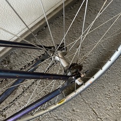 シングルスピード 自転車