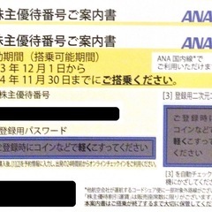 ANA 株主優待券 2枚 有効期限 2024年11月30日