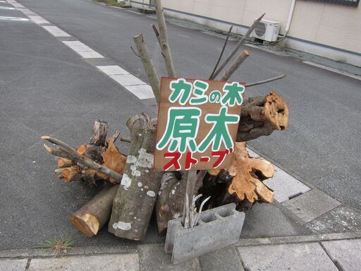 カシの木　焚き木の原木