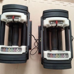 ホームジム　ダンベル 22kg x2