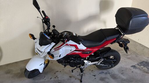 (クリスマスまで値下げ中)jc75　グロム　5000キロ台