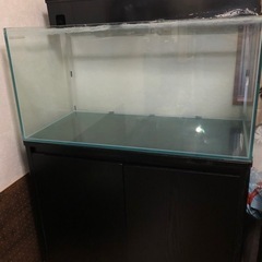 60cm水槽セット 受け渡し決定しました！