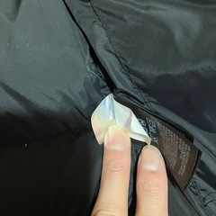 ノースフェイス　ヌプシ700fill