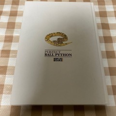 【絶版本】PERFECT BALL PYTHON パーフェクト　ボールパイソン
