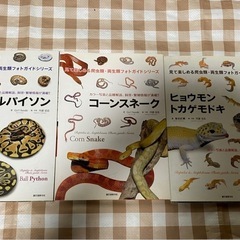 エキゾチックアニマルの中古が安い！激安で譲ります・無料で  