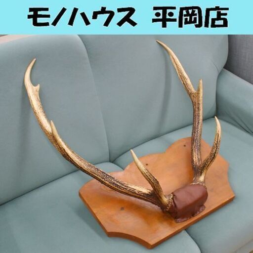 鹿の角 壁掛 幅60×奥行25×高さ65cm オブジェ インテリア 札幌市 清田区 平岡