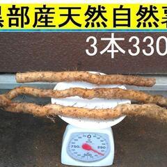 自然薯の中古が安い！激安で譲ります・無料であげます(2ページ目  